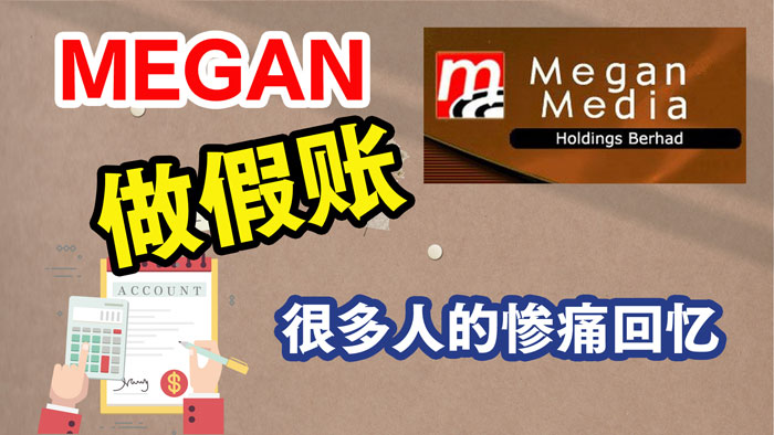 Megan 媒岸控股假账事件的回顾