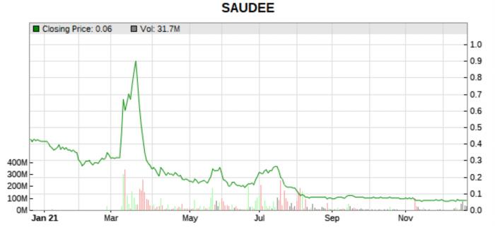 saudee 1 year price