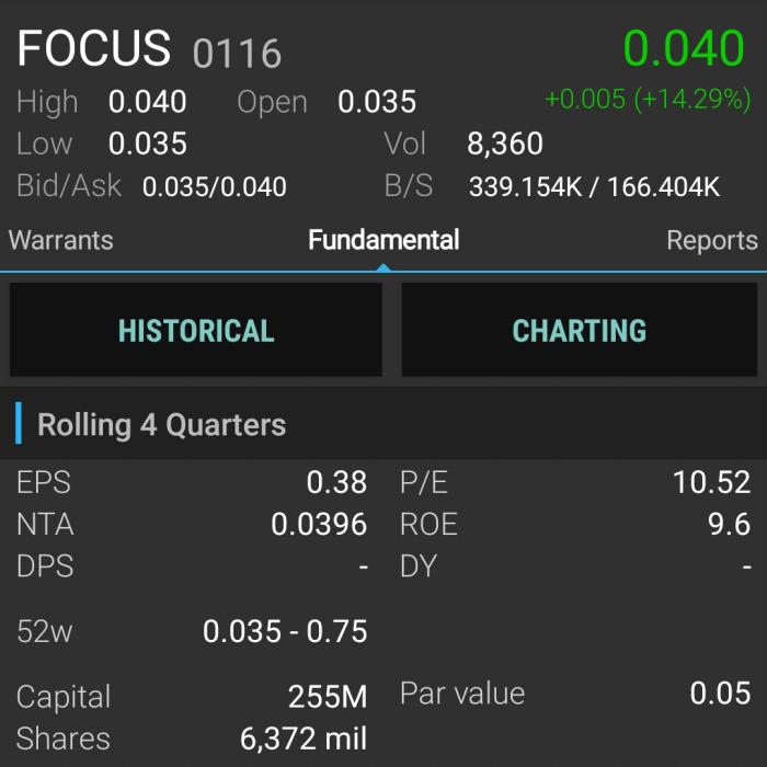 focus 52 weeks high and low